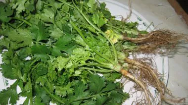 garnishing-instructions-image